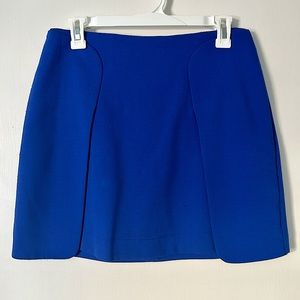Banana Republic Blue Skirt